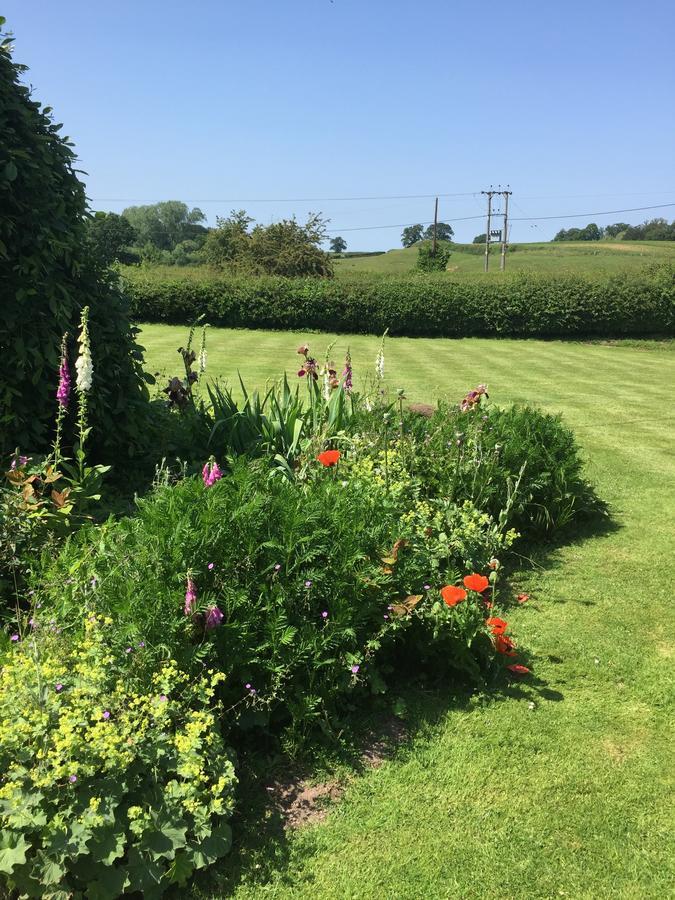 North Farm Bed And Breakfast Shrewsbury Exterior foto